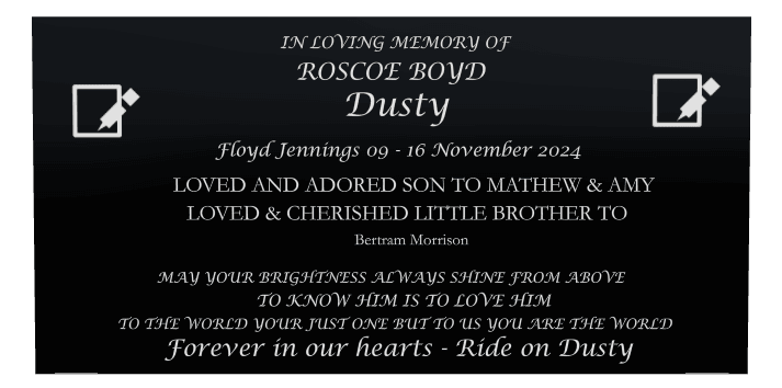 Rectangle (landscape) Laser-Etched Color Plaque – Son Memorial preview