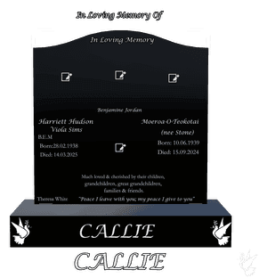 Serpentine - Much Loved 6 memorial design preview