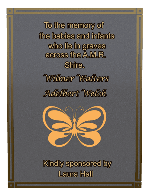 Rectangle (portrait) Bronze Plaque – butterflies preview