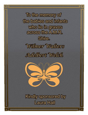 Rectangle Portrait Butterflies memorial design preview