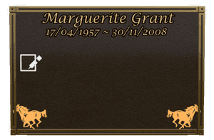 Bronze Plaque - John 3 memorial design preview