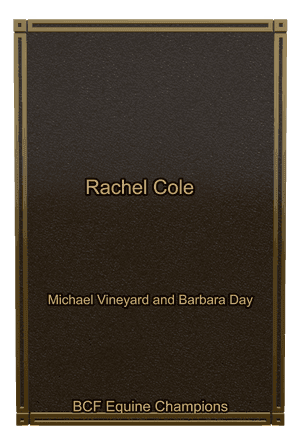 Rectangle Portrait Horse Plaque memorial design preview