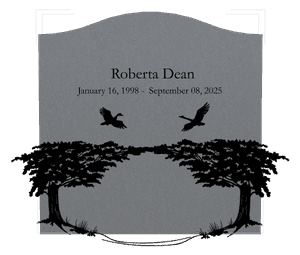 Serpentine - Duck Swan memorial design preview