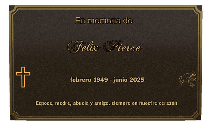 Rectangle (landscape) Bronze Plaque – cross preview