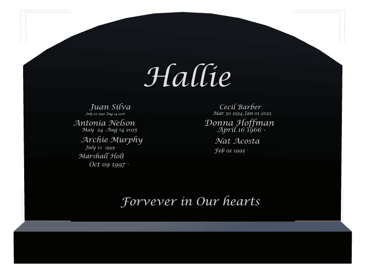 Curved Top Laser-Etched Black Granite Headstone – James preview