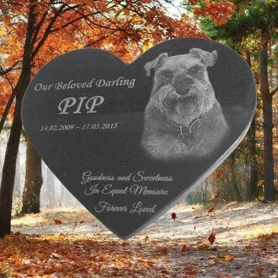 Laser-Etched Pet Rock