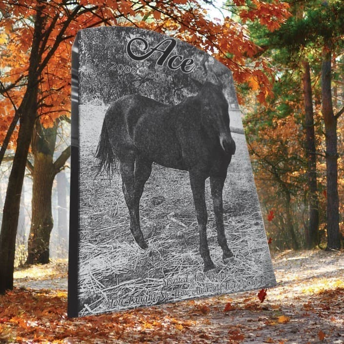 Pet headstone gallery example