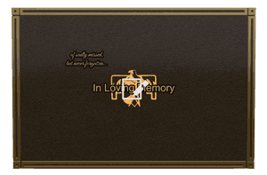 Bronze Plaque - In Loving Memory 29 memorial design preview