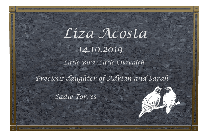 Square Traditional Engraved Plaque – Bird Plaque preview