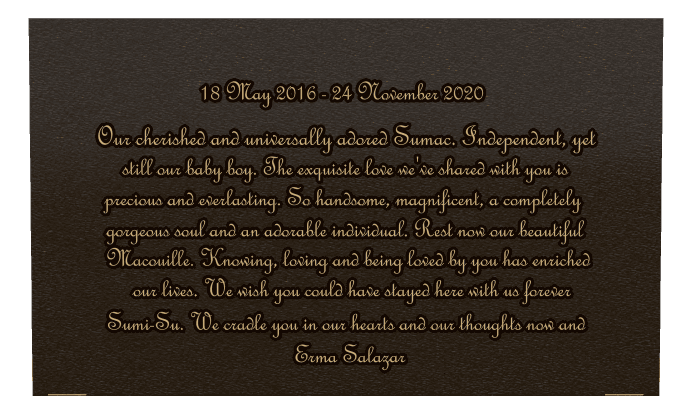 Square Bronze Plaque – Baby preview