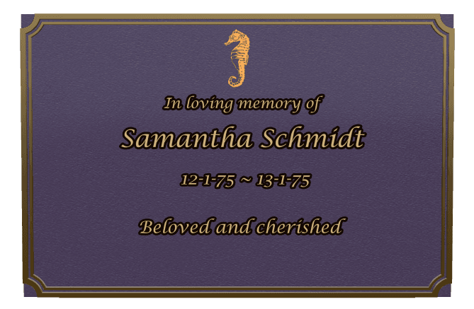 Bronze Plaque Bronze Plaque – In Loving Memory preview
