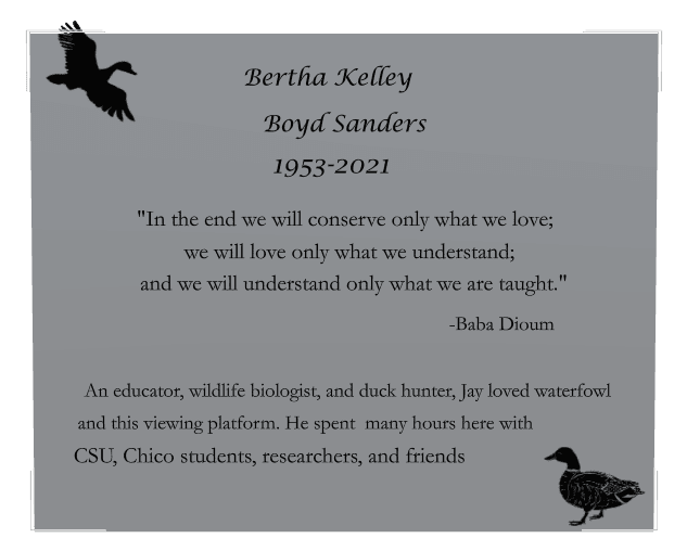 Rectangle (landscape) Stainless Steel Plaque – bird and duck preview