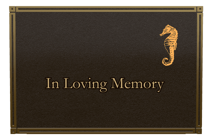 Rectangle (landscape) Bronze Plaque – fish preview
