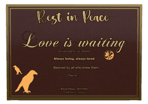 Bronze Plaque - Rest in Peace 5 memorial design preview
