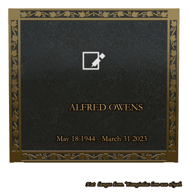 Rectangle (landscape) Bronze Plaque – birds and dove preview