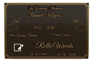 Bronze Plaque - In Loving Memory 25 memorial design preview