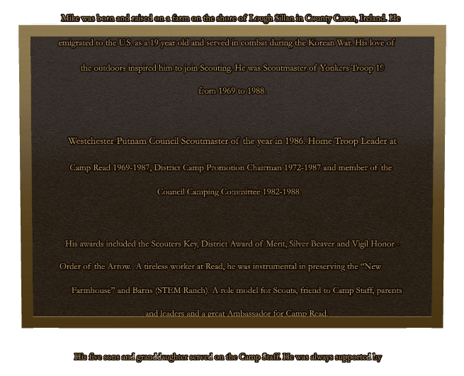 Rectangle (portrait) Bronze Plaque – Military Veteran preview