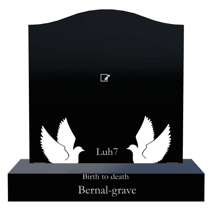Serpentine Laser-Etched Black Granite Headstone – Birds preview