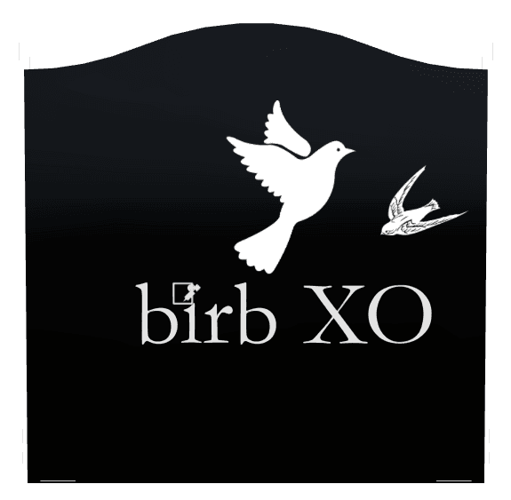 Serpentine Laser-Etched Black Granite Headstone – Bird Dove preview