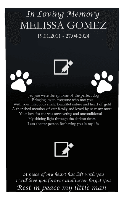 Rectangle (portrait) Laser-Etched Color Plaque – Pet Memorial preview