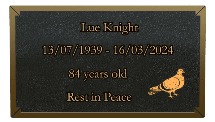Rectangle (landscape) Bronze Plaque – bird preview