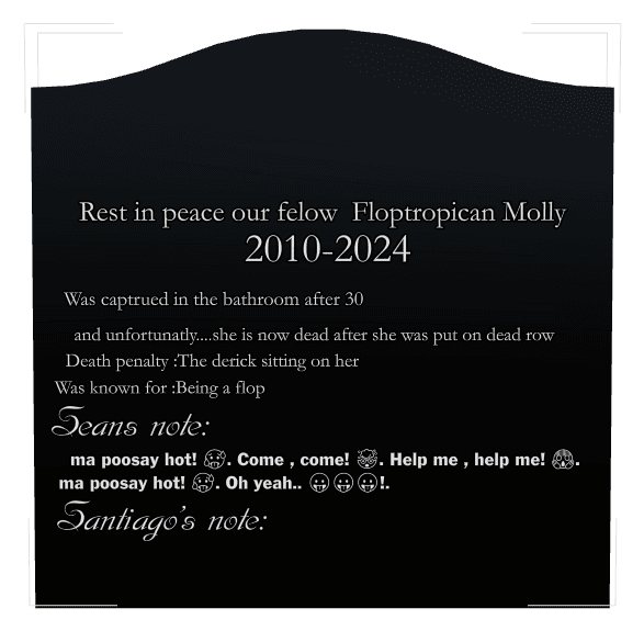 Serpentine Laser-Etched Black Granite Headstone – Rest in Peace preview