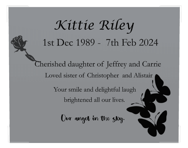 Rectangle (landscape) Stainless Steel Plaque – butterflies preview