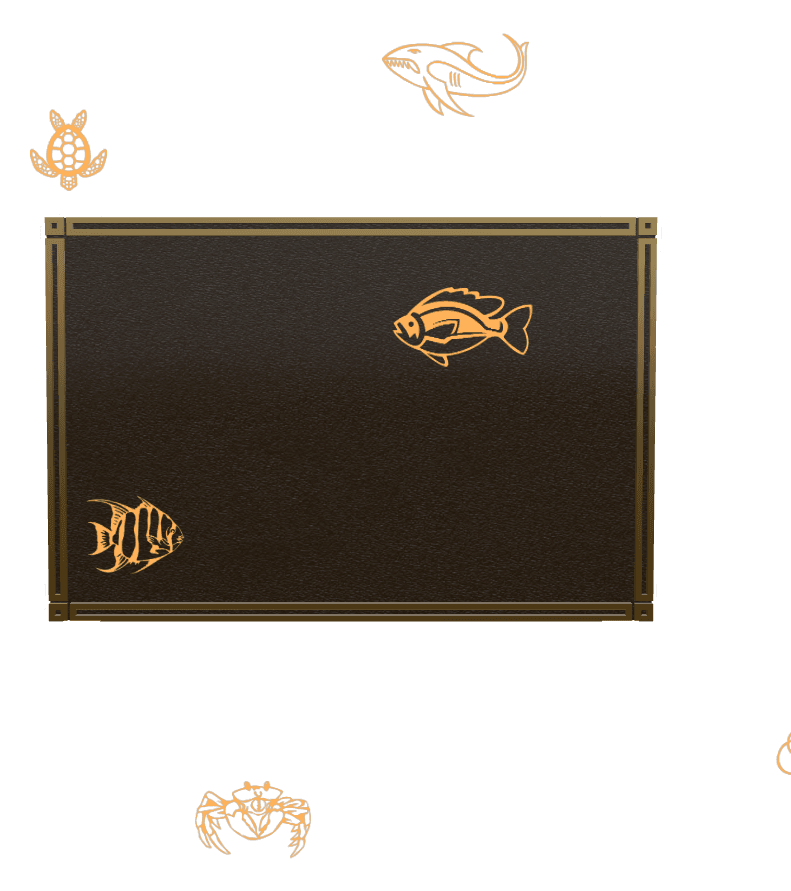 Bronze Plaque Bronze Plaque – Fish Turtle preview