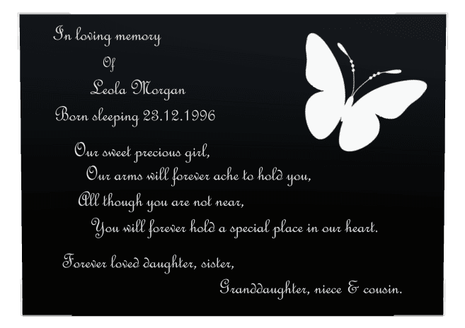 Rectangle (landscape) Laser-Etched Color Plaque – butterflies preview