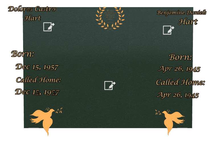 Rectangle (landscape) Bronze Plaque – dove preview