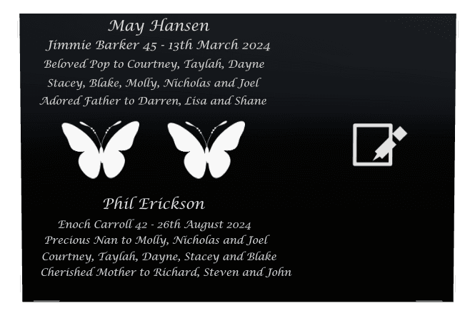 Rectangle (landscape) Laser-Etched Color Plaque – butterflies preview