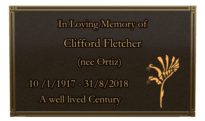 Rectangle (landscape) Bronze Plaque – kangaroo preview