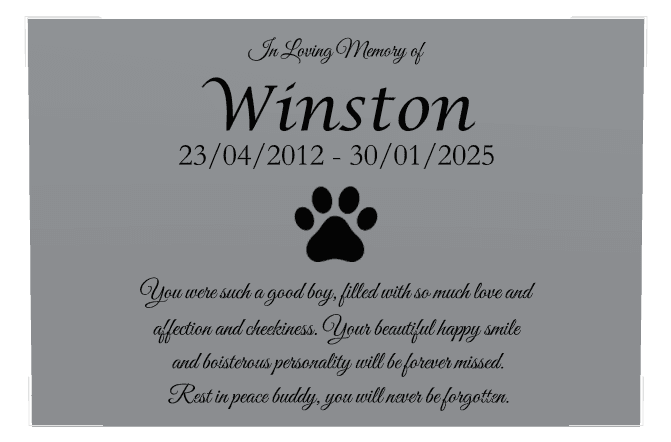 Rectangle (landscape) Stainless Steel Plaque – Pet Memorial preview