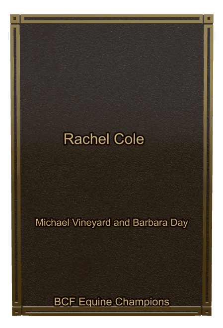 Rectangle (portrait) Bronze Plaque – Pet Memorial preview