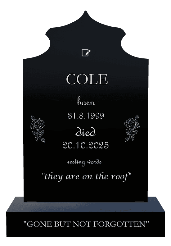 Laser-Etched Black Granite Headstone – Gone But Not Forgotten preview