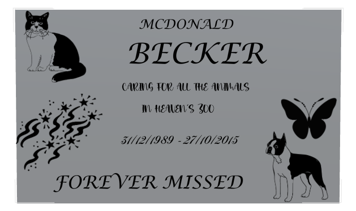 Doctor Memorial Bronze Plaque design preview