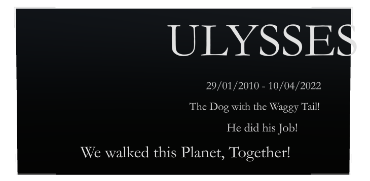 Pet Memorial Laser-Etched Colour Plaque design preview