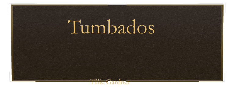 Memorial Bronze Plaque design preview