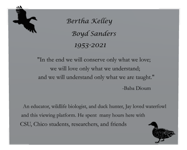 Teacher Memorial Stainless Steel Plaque design preview