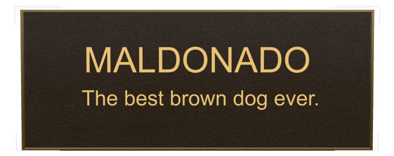 Pet Memorial Bronze Plaque design preview