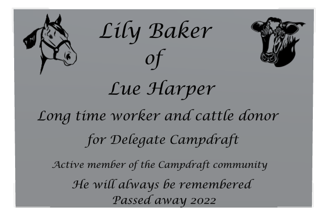 Memorial Bronze Plaque design preview