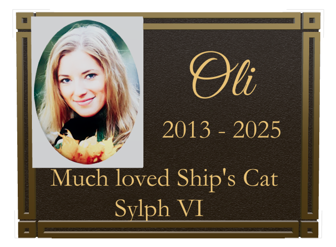 Pet Memorial Bronze Plaque design preview