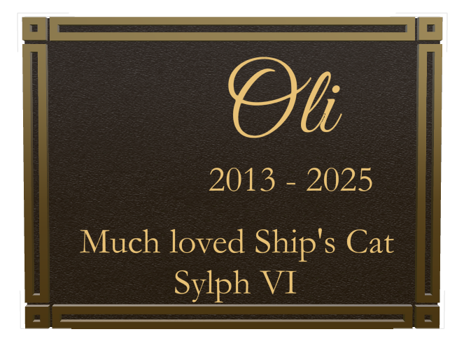 Pet Memorial Bronze Plaque design preview