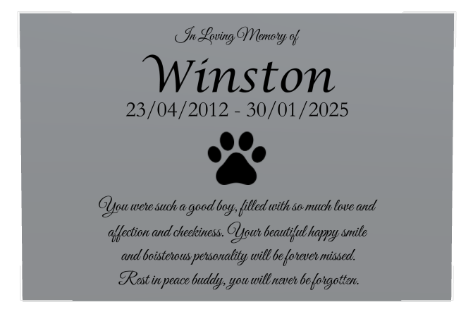 Pet Memorial Stainless Steel Plaque design preview