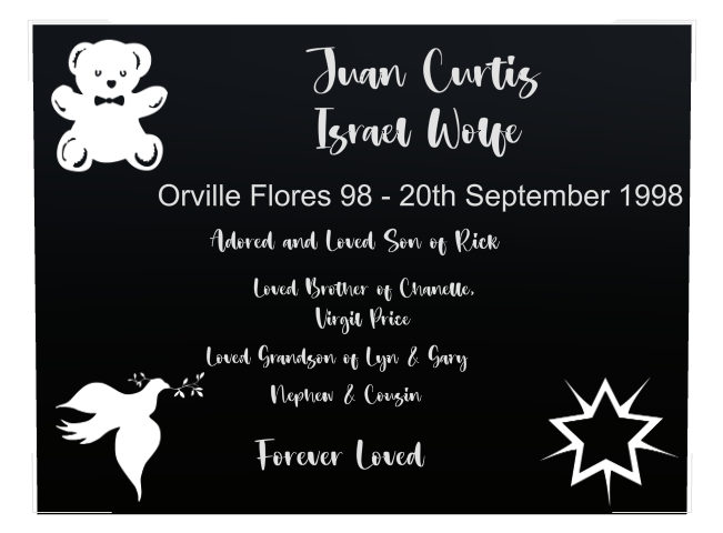 Son Memorial Laser-Etched Colour Plaque design preview
