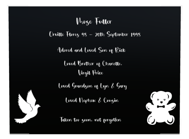 Son Memorial Laser-Etched Colour Plaque design preview